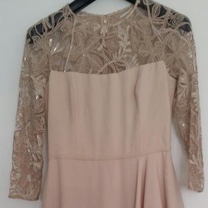 NEW Teri Jon Blush Gown
